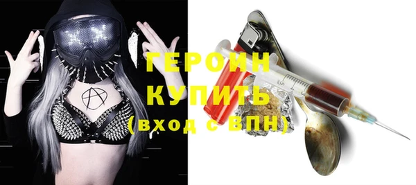 прущие грибы Беломорск