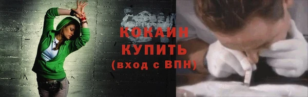 прущие грибы Беломорск