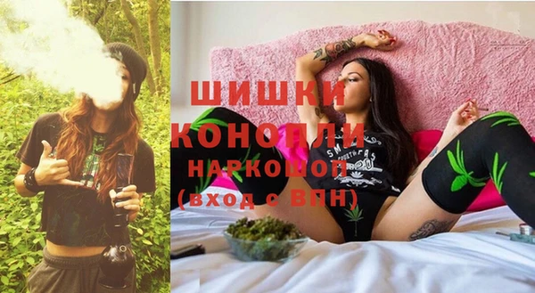 прущие грибы Белоозёрский