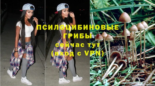 прущие грибы Беломорск