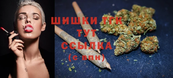 apvp Белокуриха