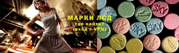 прущие грибы Белоозёрский