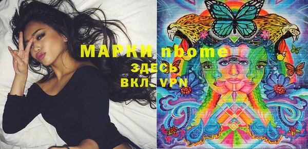 apvp Белокуриха
