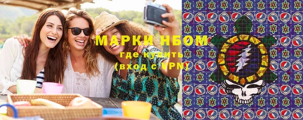 прущие грибы Беломорск